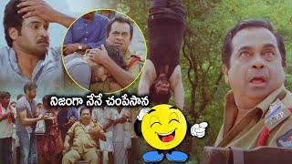 Brahmanandam Super Hit Back 2 Back Comedy Scene  Subbaraju  Panja Movie Scenes  Cine Square