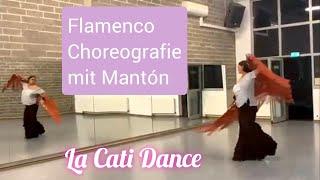 Flamenco con mantón ️ Workshop Tanzhaus NRW 2024 Beginner La Cati #flamenco #dance #workshop