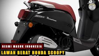 2023 Lawan Berat Honda Scoopy - Benelli Panarea 125 2023