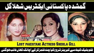 Lost Pakistani Actress Shehla Gill