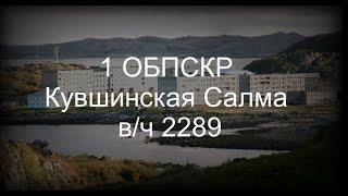 1 ОБПСКР Кувшинская Салма вч 2289