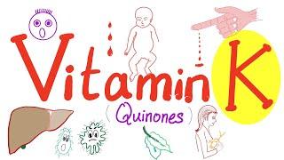 Vitamin K  - Sources Deficiency and Excess - Symptoms and Treatment