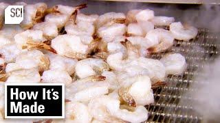 How Frozen Shrimp and Thai Rice Boxes Are Made  How It’s Made  Science Channel