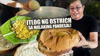 ITLOG NG OSTRICH NA PINALAMAN SA MALAKING PANDESAL + NAGLUTO AKO NG BULANGLANG Buhay ni Idol Ep. 14