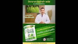 ผลิตภัณฑ์เสริมอาหาร วีทกราส อัลฟาฟ่า พลัส   WHEAT GRASS ALFALFA PLUS คลอโรฟิลล์เข้มข้น ไฟเบอร์สูง