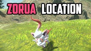 How to Catch Hisuian Zorua - Pokémon Legends Arceus