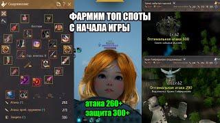 Black Desert лучший гайд для новичка