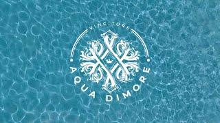 Vincitore Aqua Dimore Presents The New Realm Of Aqua Living. #realestate #luxury #investindubai