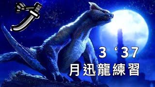 【MHRS】太刀練習不可視の迅竜月迅龍ナルガクルガ希少種 Lucent Nargacuga LS Solo 337 糰火