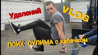 УДАЛЕННЫЙ VLOG ПСИХ СУЛИМА с кабачком  Андрей Мартыненко