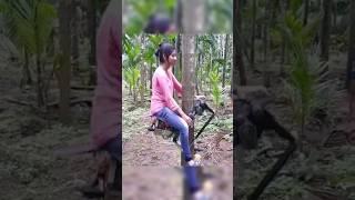 Coconut Tree climbing machine - Made in India 
