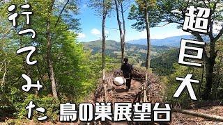 【秘境】まるでジブリ映画の世界！鳥の巣展望台から絶景を独り占め！の件【兵庫・グリーンパークハチ北】