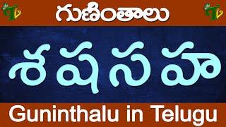 శ ష స హ గుణింతాలు  Se Sha Sa Ha guninthalu  How to write Telugu guninthalu @TeluguVanam ​