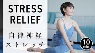 10 min Full body stretching for flexibility and stress relief #677