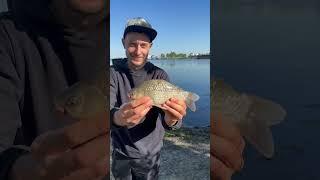 Рыбалка на карася  река Дон
