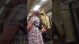 New York subway passenger carries giraffe head