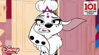 My Fair Dolly  101 Dalmatian Street  Disney Channel Africa