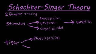 The Schachter-Singer two factor theory of emotion explained