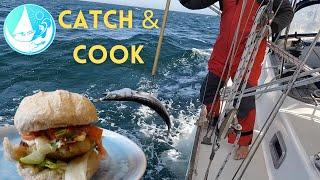 Catch and cook SAILING BAJA MEXICO  Ep 360