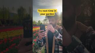 Creative Video Idea with Phone