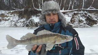 СУДАК НА БАЛАНСИР. Зимняя рыбалка. Ловля судака зимой