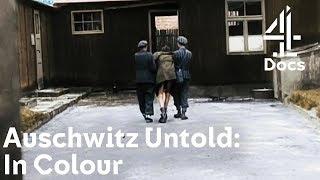 What Happened Right Before Jewish Concentration Camps Were Liberated?  Auschwitz Untold In Colour