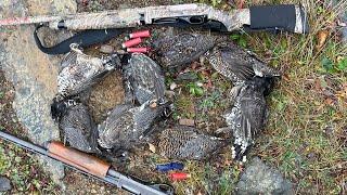 7 GROUSE in 3 MINUTES 8 total  October Newfoundland Grouse Hunt