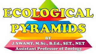 ECOLOGICAL PYRAMIDS