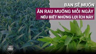 Bạn sẽ muốn ăn rau muống mỗi ngày nếu biết những lợi ích này  VTC Now