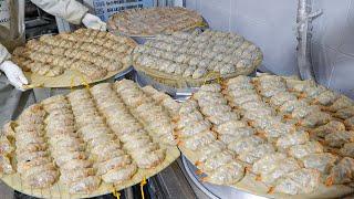 5000 dumplings sold a day? best handmade dumplings in a Korean market - Korean street food