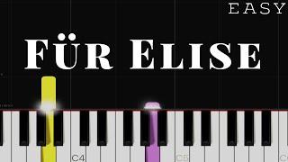Für Elise - Beethoven  EASY Piano Tutorial