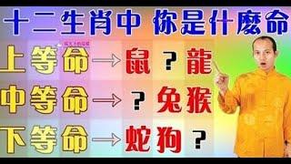 有好運加持！風水大師蘇民峰：十二生肖中，你是什麼命，令人羨慕！生活不會虧待任何一個努力的人，保持樂觀，萬事皆順！