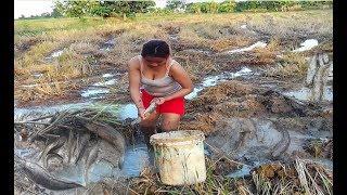 WowAmazing Girl Fishing by hand - How To Catch  Fish at battambang in cambodia part017