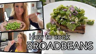 How to Cook Broad Beans aka Fava Beans  Ill change your mind about them  Plot 37