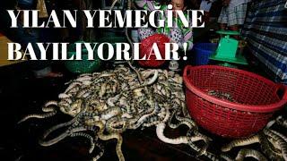 YILAN YEMEĞİNE BAYILIYORLAR YILAN YEMEDEN DURAMAYAN İNSANLAR YILAN YEMEĞİ TARİFİ & snake meal