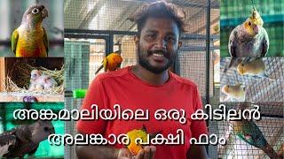 അങ്കമാലിയിലെ ഒരു കിടിലൻ അലങ്കാര പക്ഷി ഫാം..... Bird Farm at Angamaly