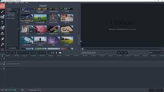 MOVAVI Video Editor 15 Business - What is it able to do?