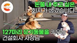 건설 회사에 동물 돌보는 직원이 20명? 진짜 이런 사람이 존재한다고요? ‘연 비용 15억’ 127마리 유기동물을 데려와 보살피는 건설회사 사장님ㅣ#세나개