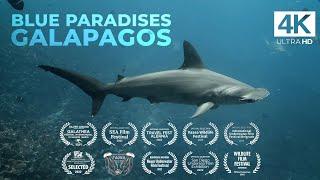 Diving GALAPAGOS ISLANDS - Ecuador - Underwater Video 4K - BLUE PARADISES S01