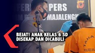 Bejat Pemuda Pengangguran Sekap Dan Cabuli Anak SD Hingga 1 Minggu