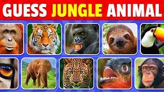 Guess 50 Jungle Animals in 3 Seconds  Easy Medium Hard Impossible