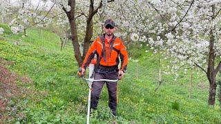 Mowing fresh grass with Stihl Fs 460-C for the first time this year.