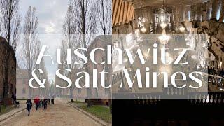 Visiting Auschwitz and The Salt Mines from Krakow Poland