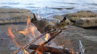 Puffer Fish Fugu - Most Poisonous Fish In The World - Catch and Cook deadly Fish