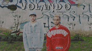 Mora - Volando Remix ft. Bad Bunny  Video Lyrics