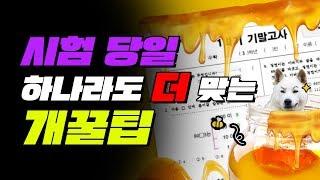 시험 잘 보는 법 TOP5 꼭 시험 직전에 봐라