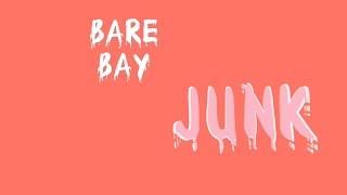 Bare Bay - Junk Lyric Video