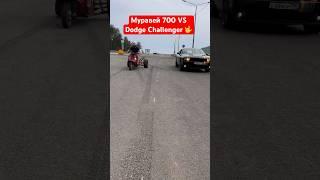 Dodge Challenger VS Муравей 700