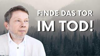 Tod ist nicht das Gegenteil von Leben Eckhart Tolle deutsch