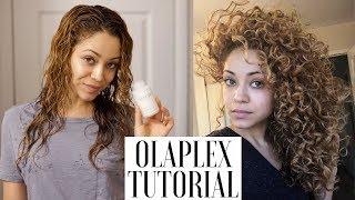 My Olaplex Tutorial  Curly Hair